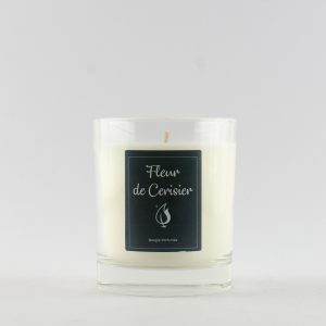 Fleur de Cerisier
