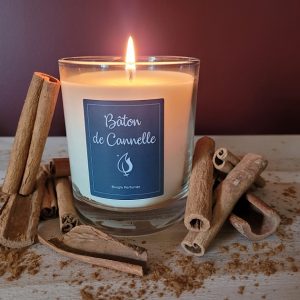 Bâton de Cannelle